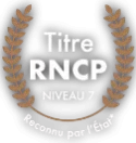 Titre RNCP niveau 7